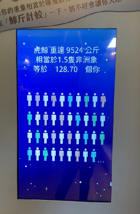 化石先生-量體重互動遊戲 量體重互動遊戲