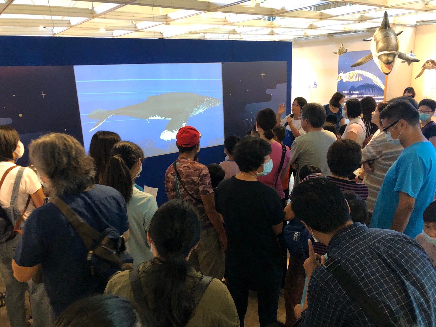 化石先生-河口鯨靈 語音導覽動畫