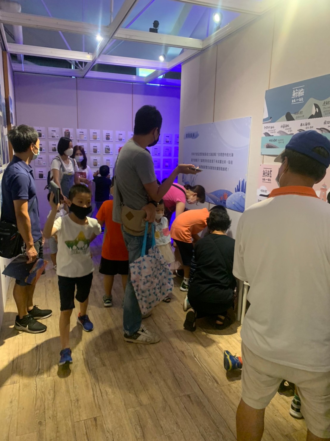 化石先生-河口鯨靈 語音導覽動畫