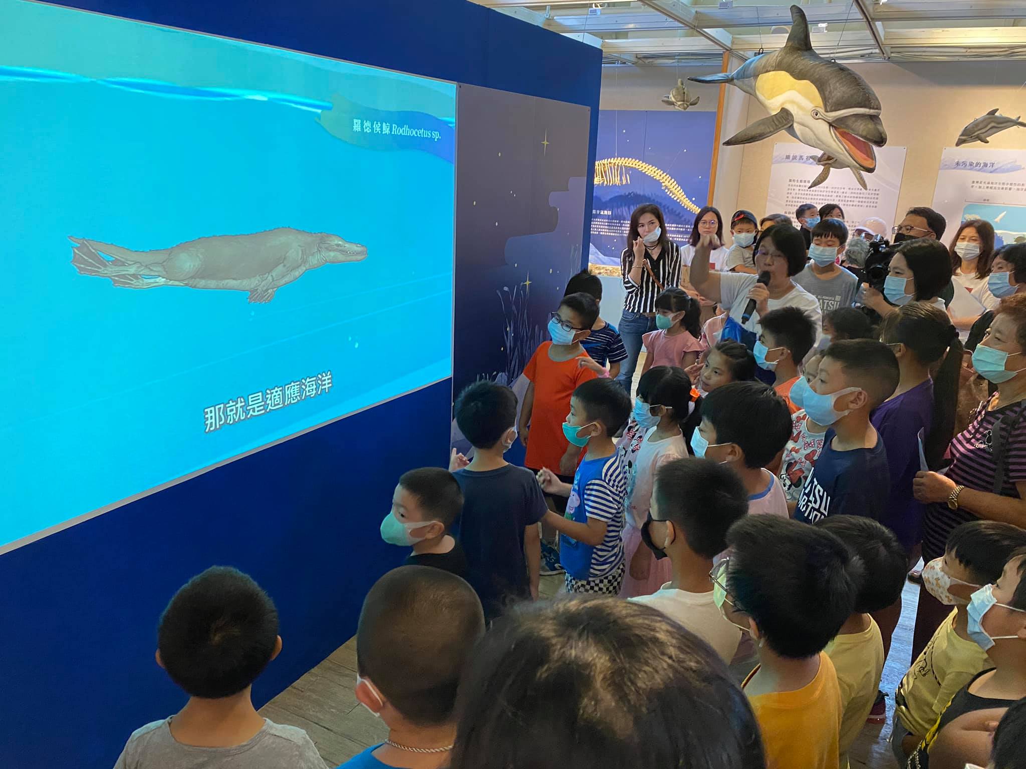 化石先生-河口鯨靈 語音導覽動畫