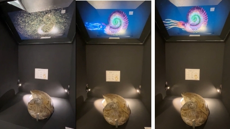 國立臺灣博物館多媒體互動-可觸摸的復活菊石 透明顯示器三葉蟲3D動畫 
